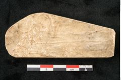 Foto (Detailansicht) von Plantae indet.  (NHMW-GEO-2024-0188-11632)